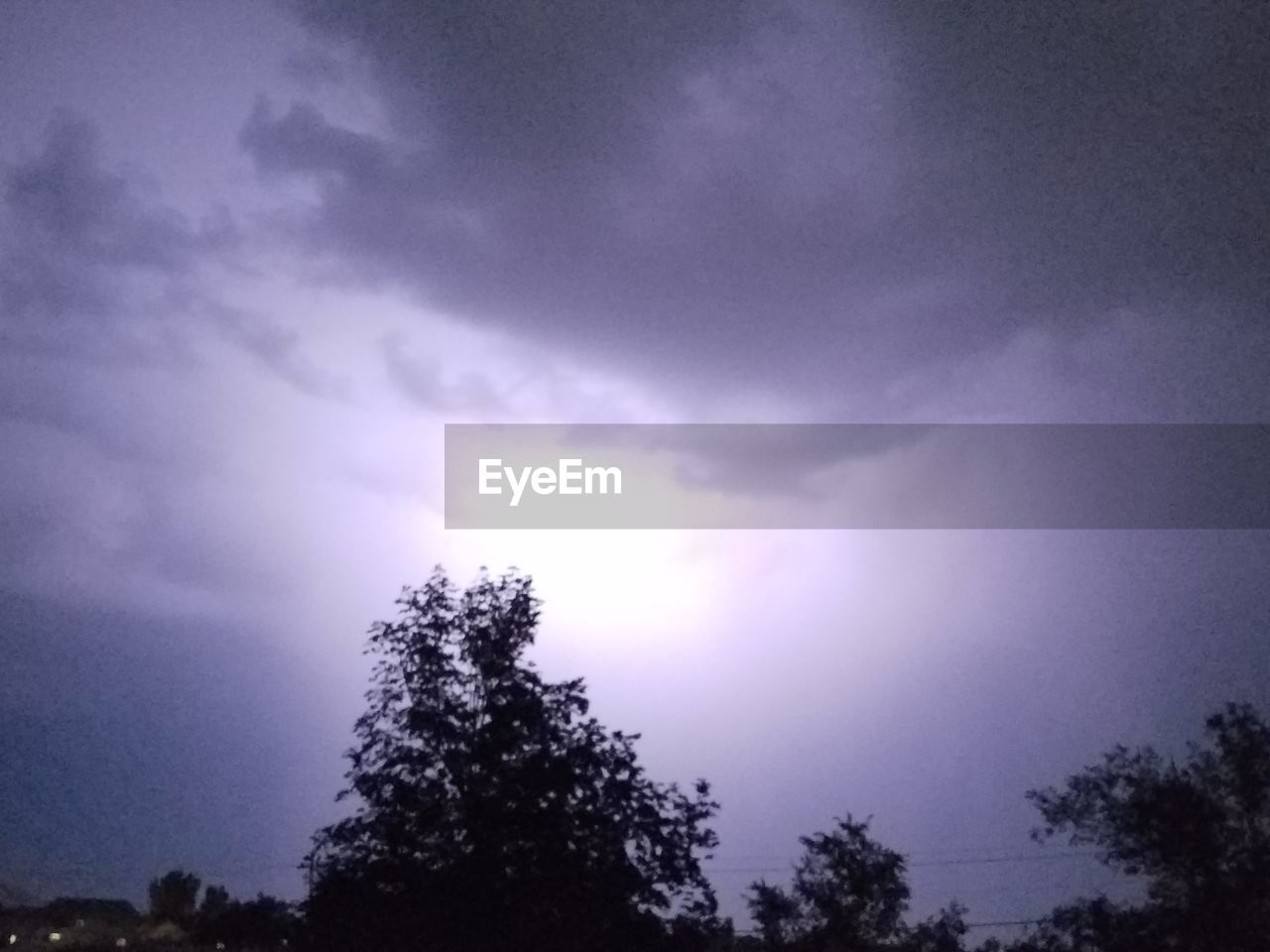 LOW ANGLE VIEW OF TREE AGAINST SKY