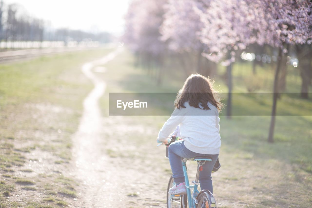 Rear view of woman riding bicycle