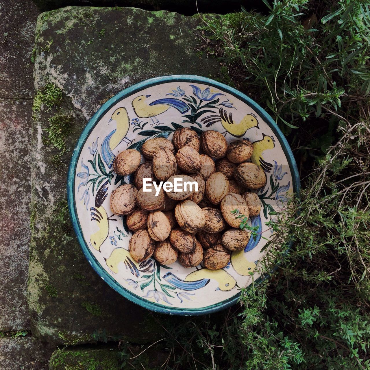 Directly above shot of walnuts in plate on ground