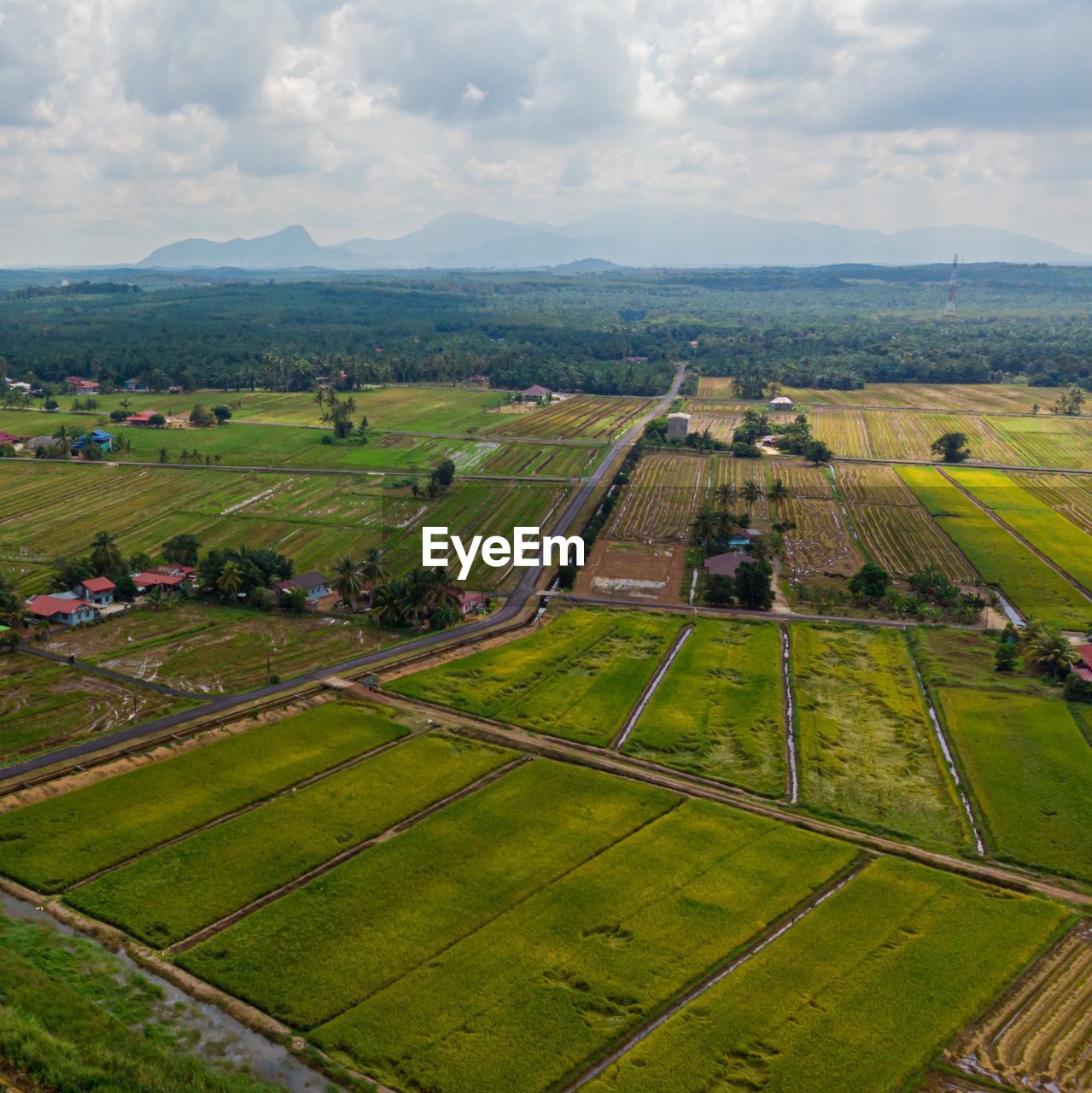 Aerial view of agriculture land, paddy fields in sungai rambai, melaka, malaysia