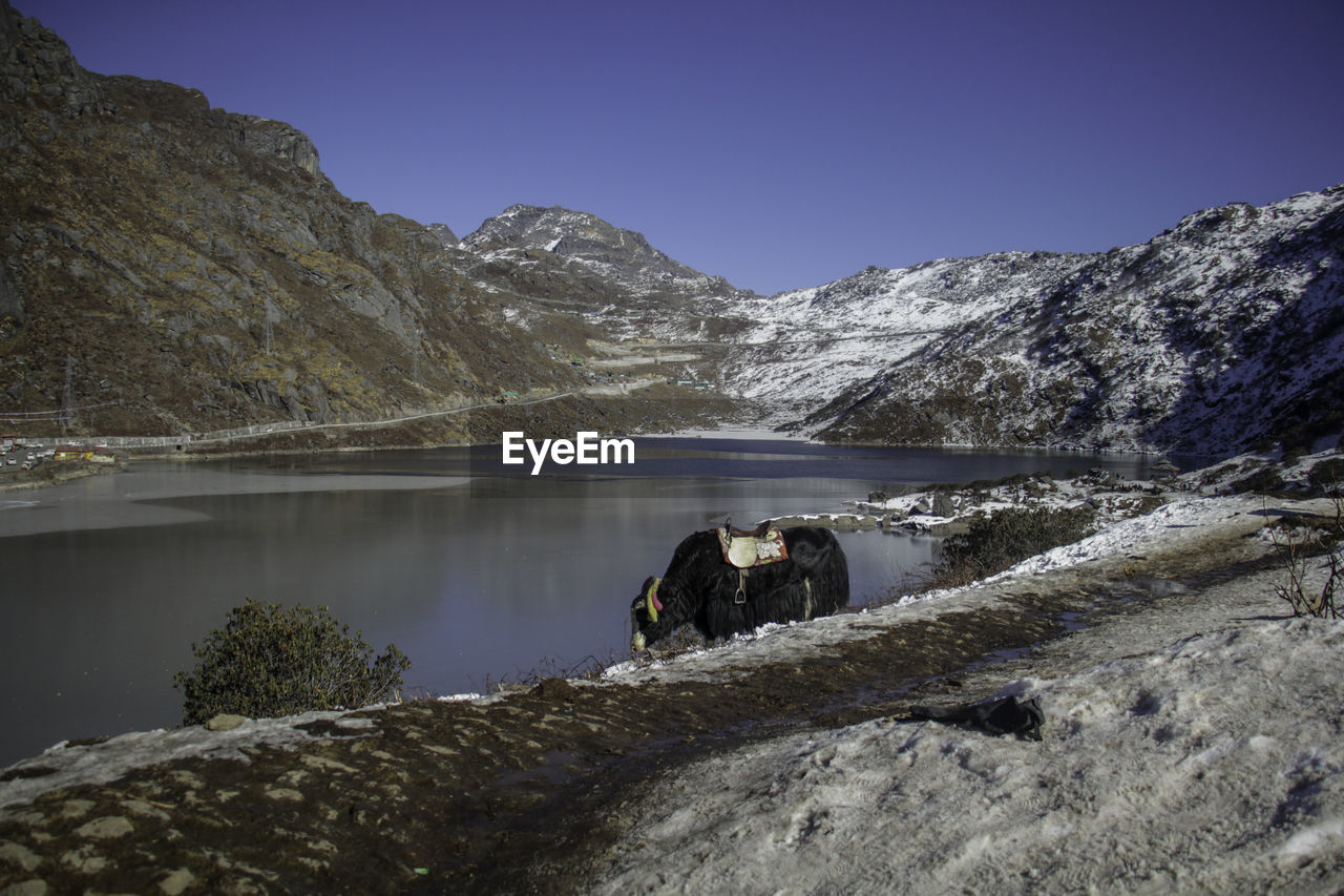 SCENIC VIEW OF LAKE AGAINST MOUNTAINS