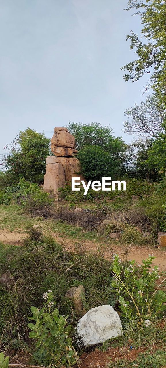 VIEW OF A TEMPLE