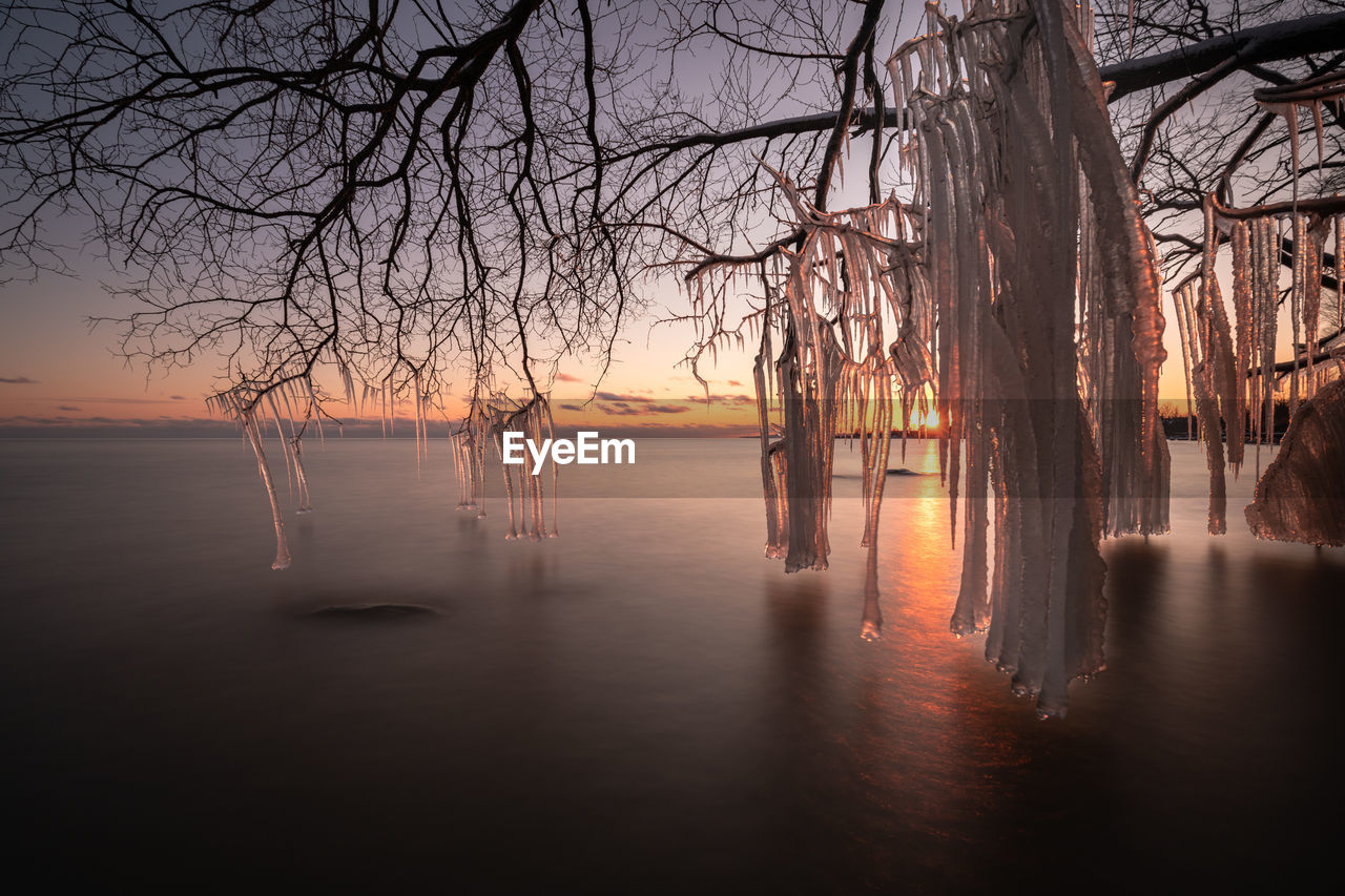 BARE TREES BY LAKE AGAINST SKY AT SUNSET