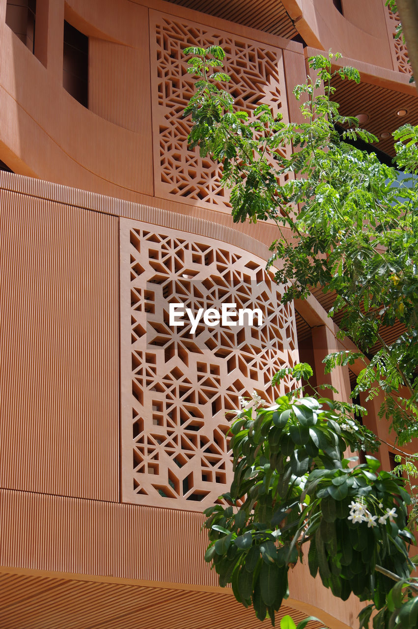 POTTED PLANTS AGAINST BUILDING