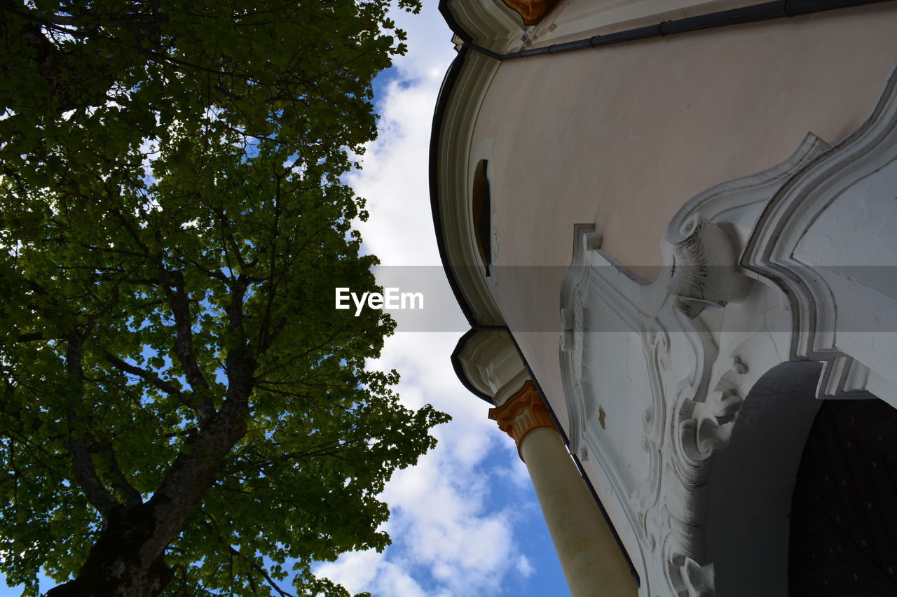 LOW ANGLE VIEW OF TREE BY BUILDING AGAINST SKY