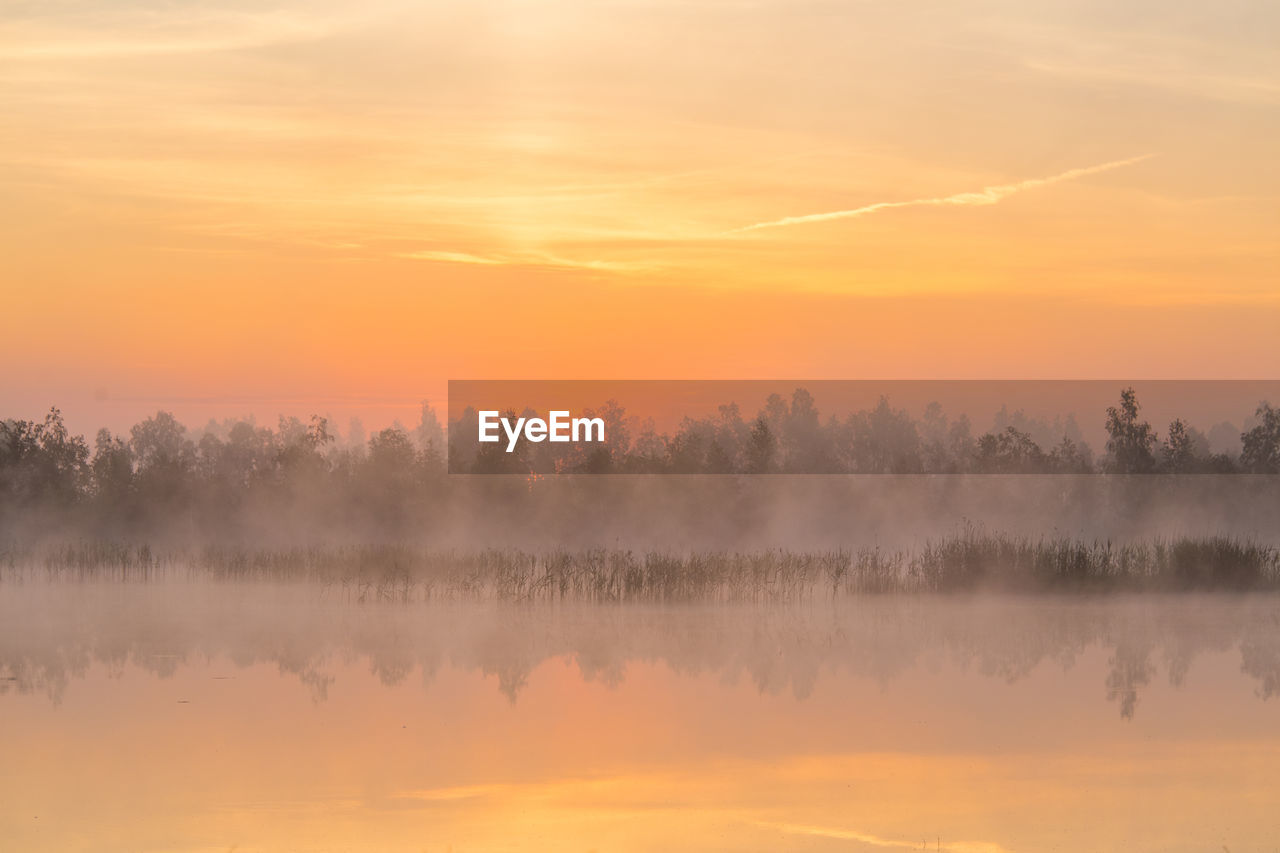 A beautiful, pink sunrise over the swamp. sun rising in wetlands, purple misty atmosphere.