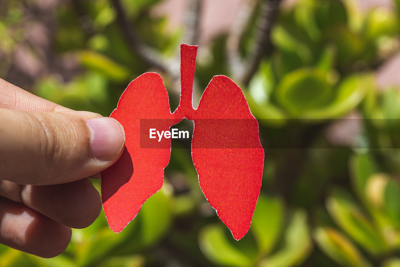 Hand holding a paper made lung shape