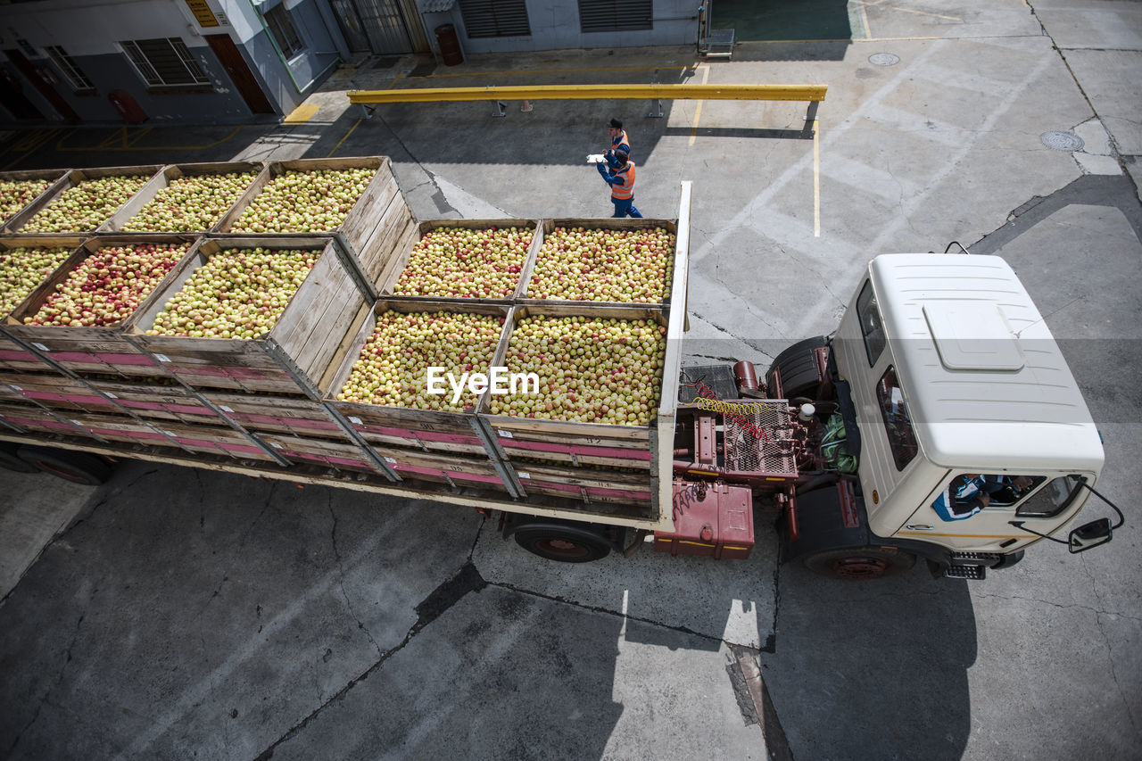 Truck transporting apples