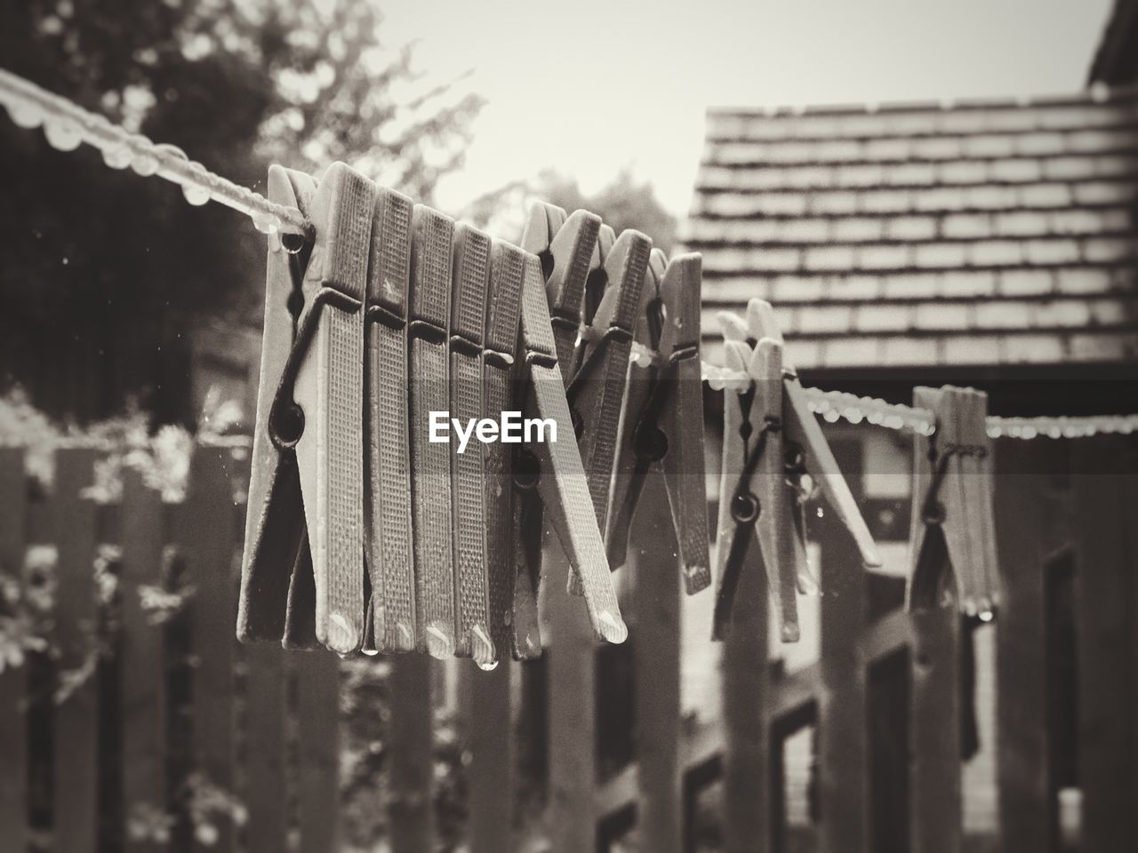 Close-up of wet clothespins on rope during rainy season