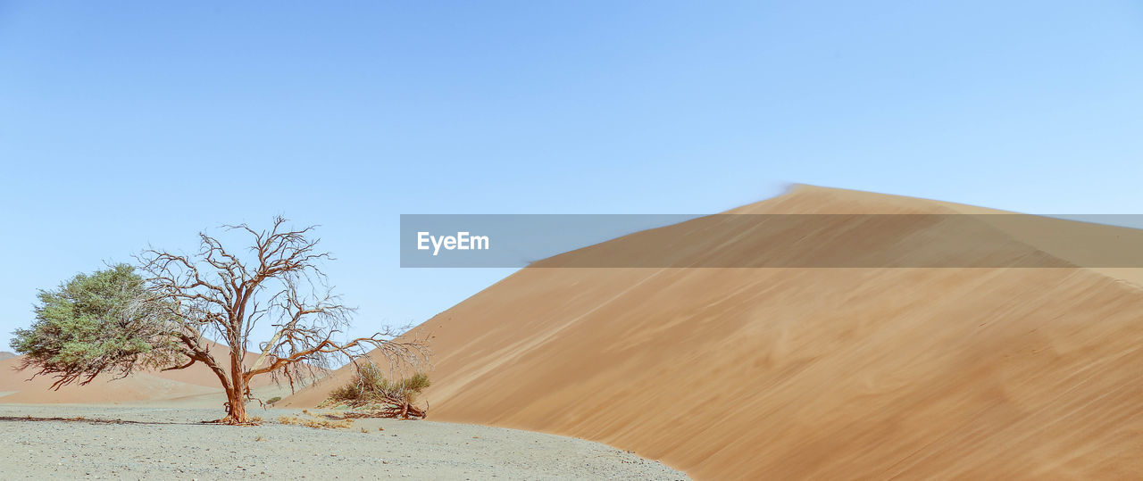 Sand dunes in desert against clear sky