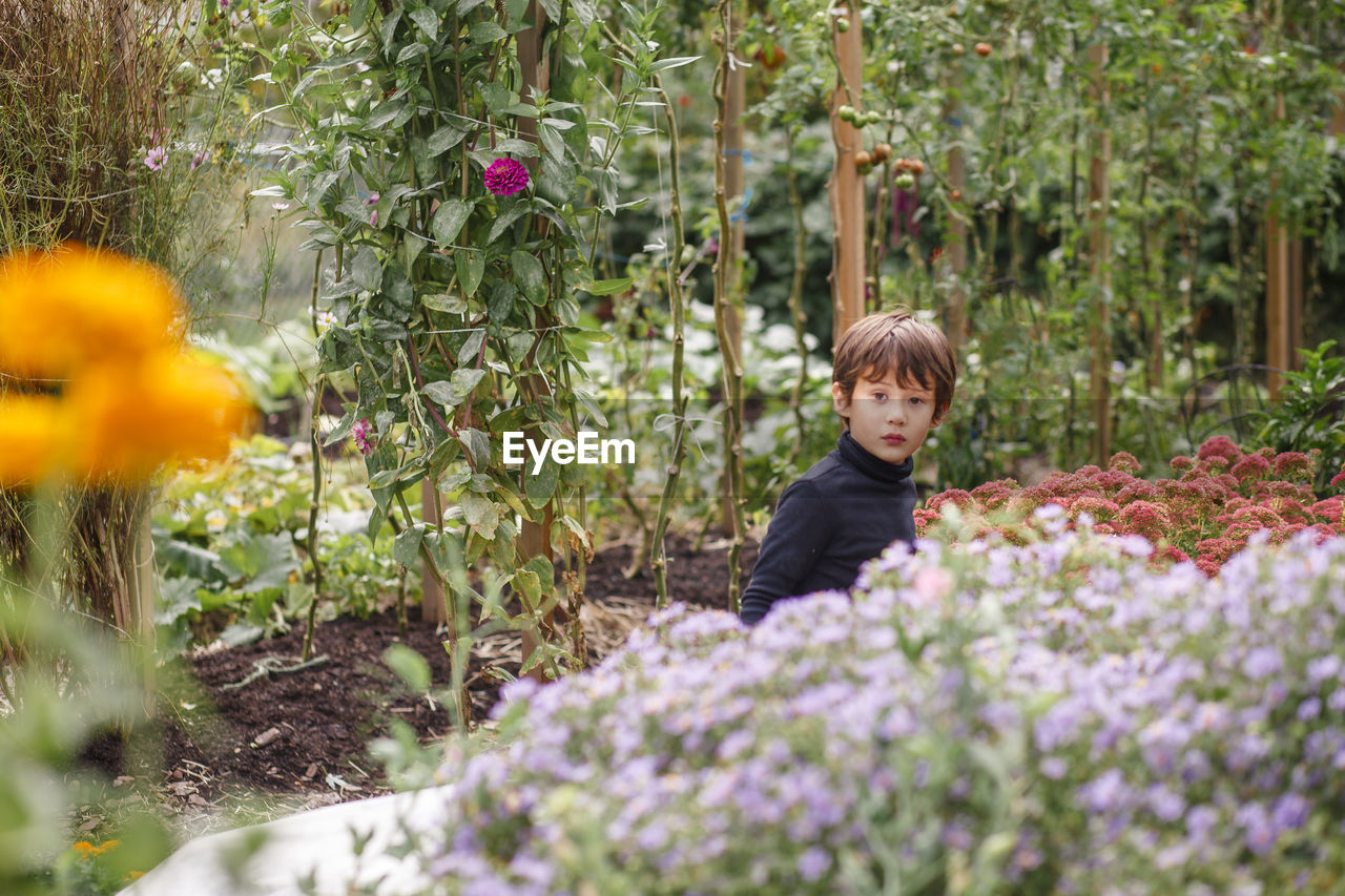 A small beautiful boy peers out above a row of flowers in a garden