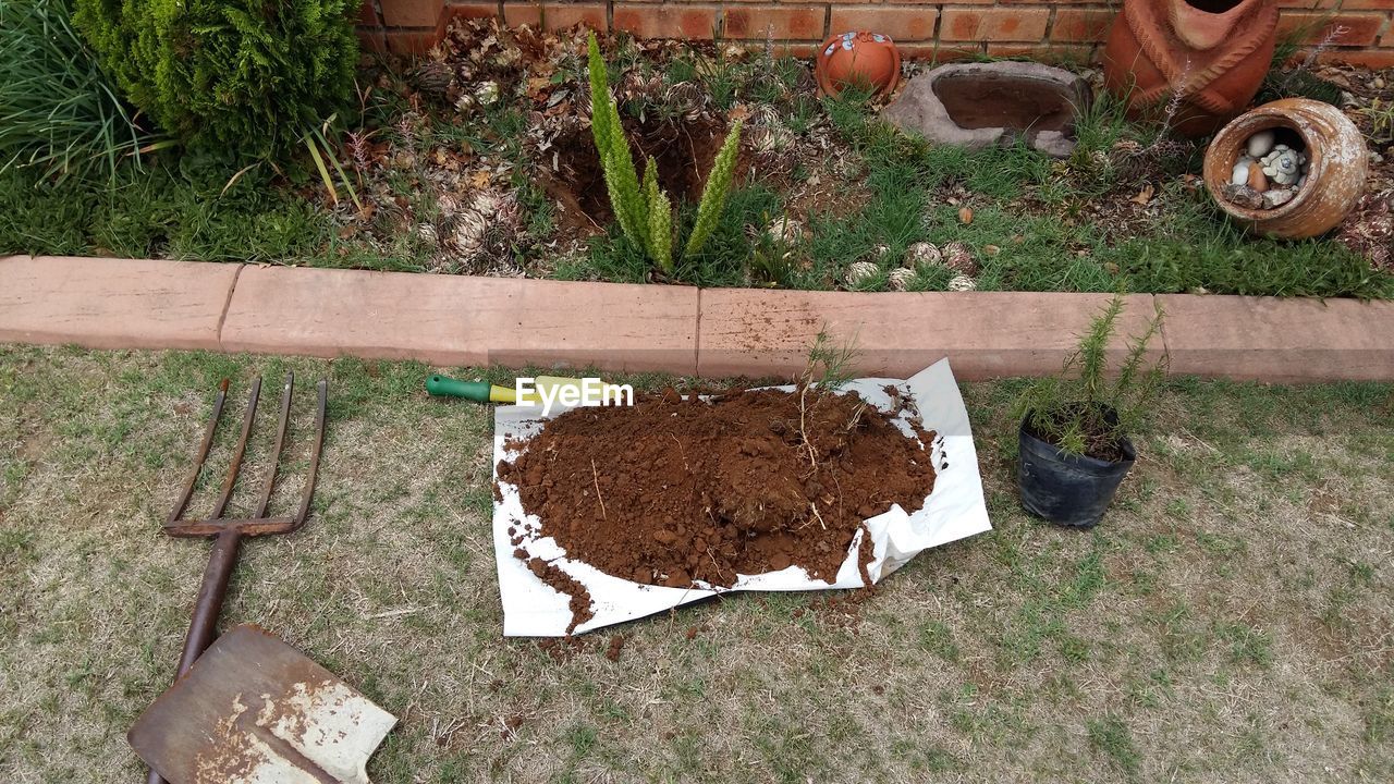 High angle view of mud and plants with gardening tools