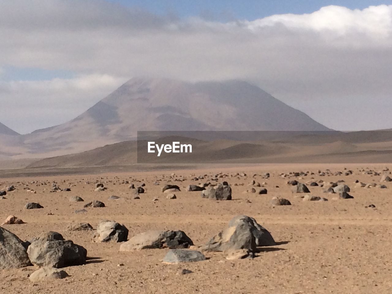 FLOCK OF SHEEP ON DESERT AGAINST SKY