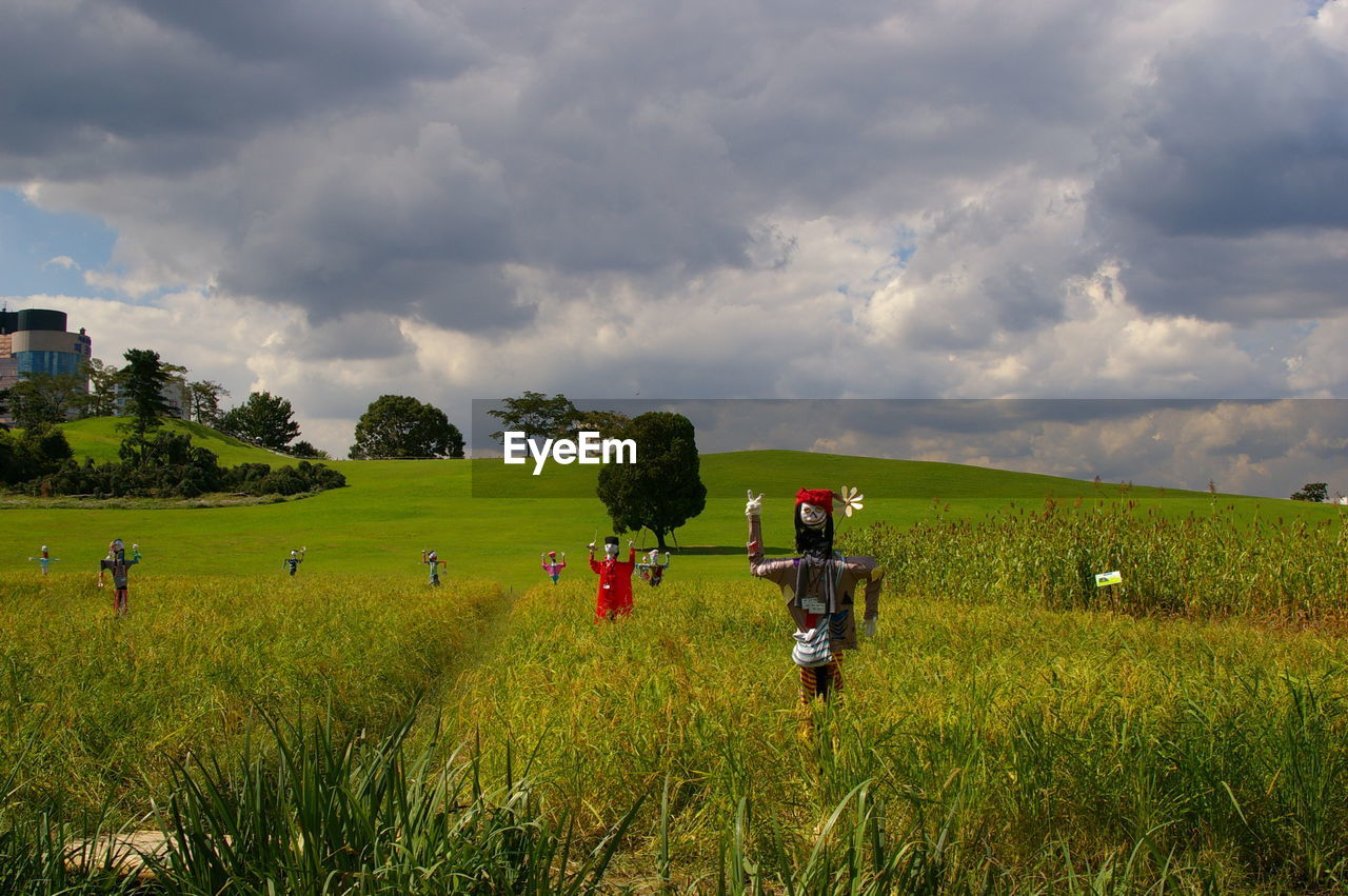 Scenic view of agricultural field against sky