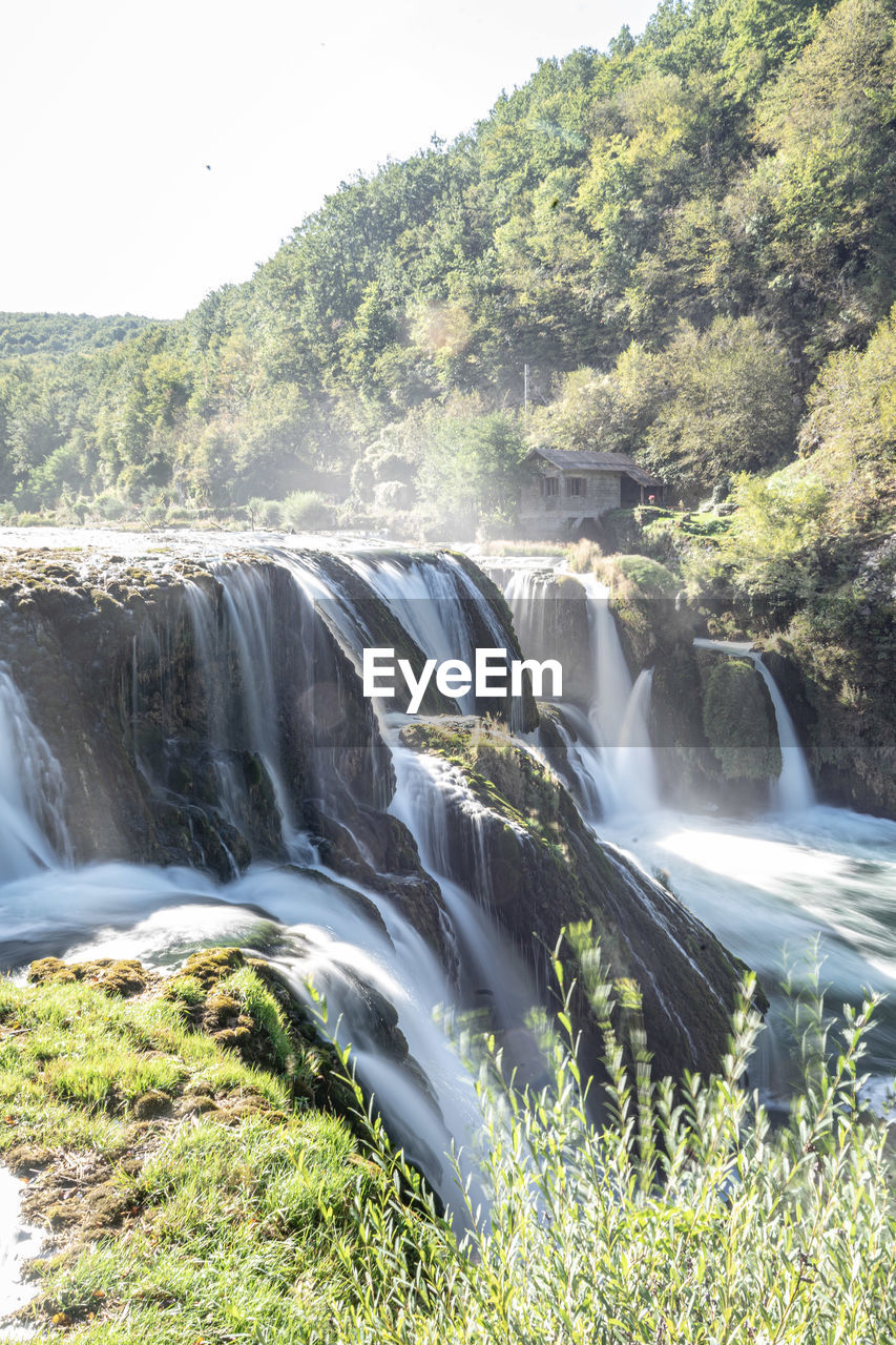 Scenic view of waterfall in forest