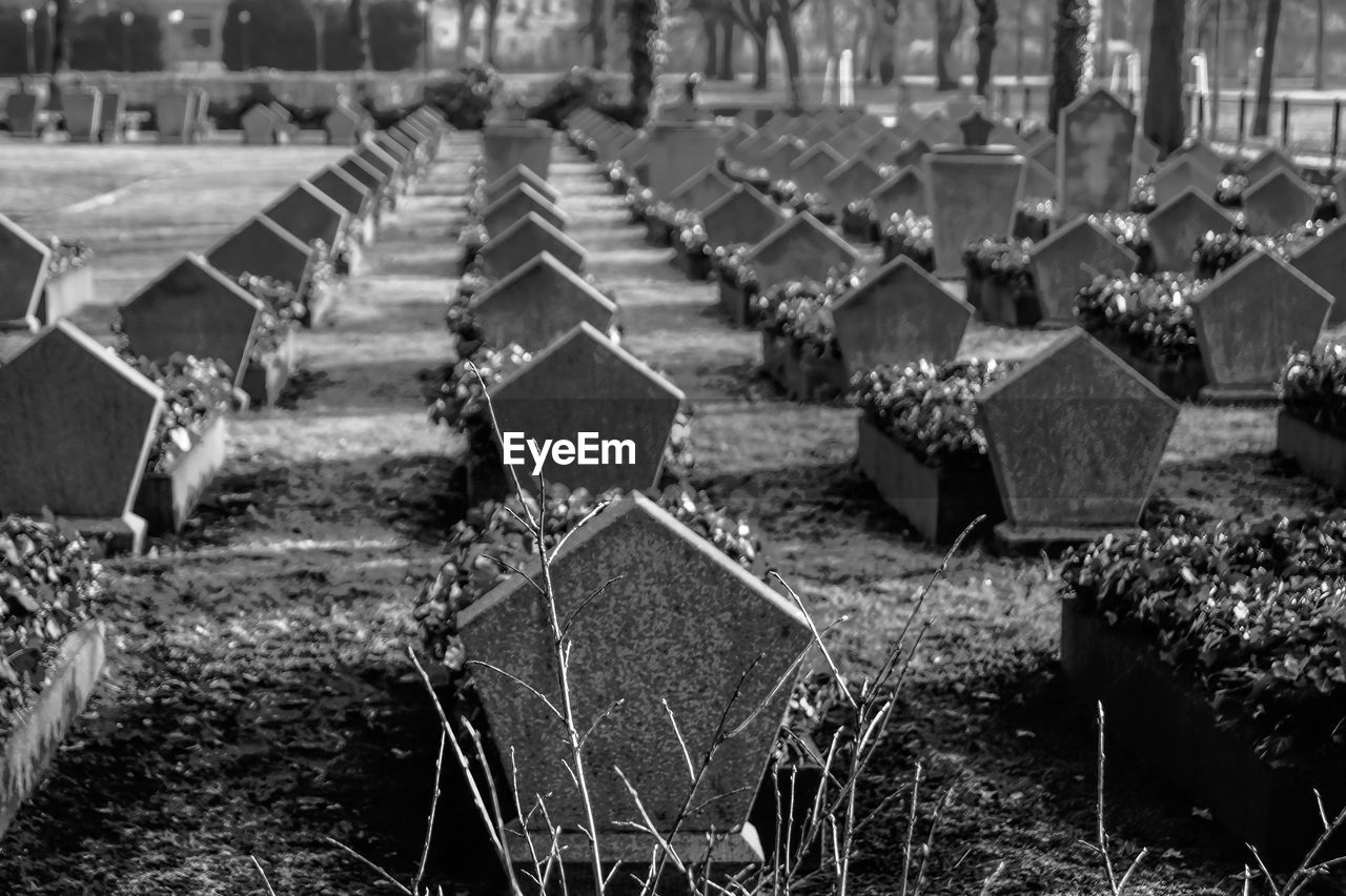 Tombstones in row at cemetery