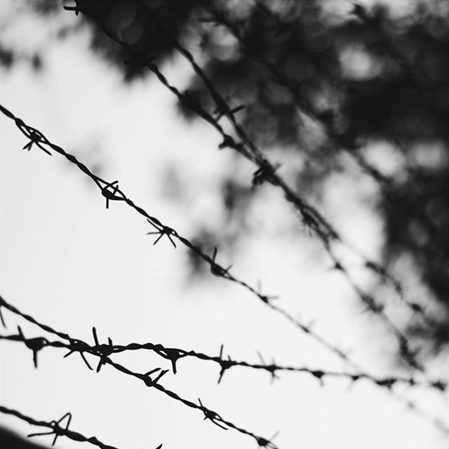 CLOSE-UP OF CHAINLINK FENCE