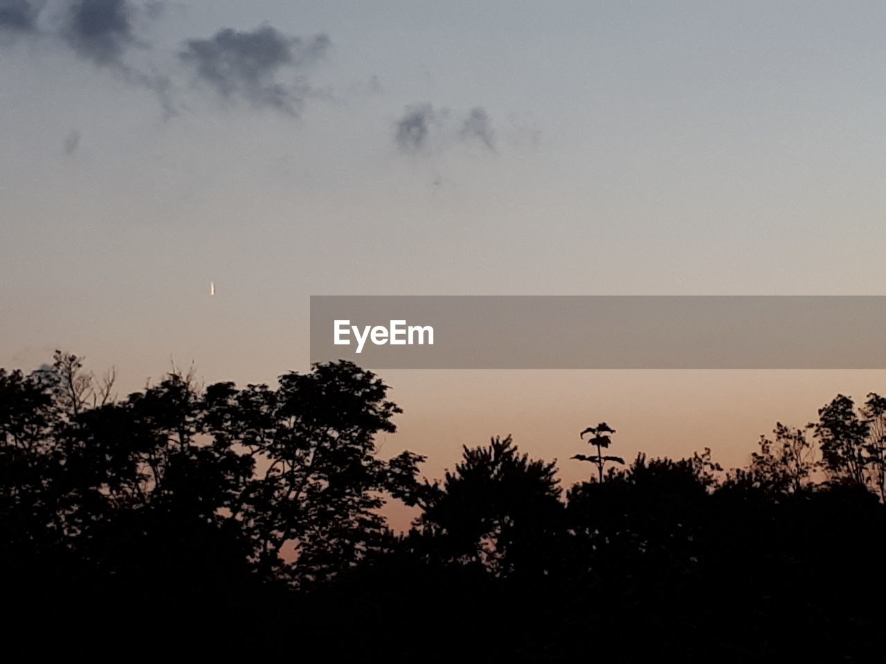 LOW ANGLE VIEW OF SILHOUETTE TREES AGAINST SKY