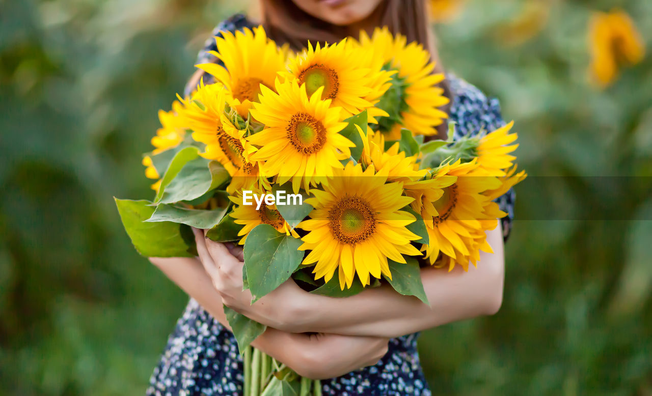 Midsection of woman holding sunflower on field