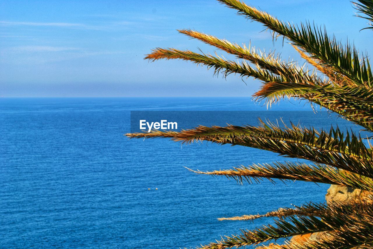 SCENIC VIEW OF BLUE SEA AGAINST SKY