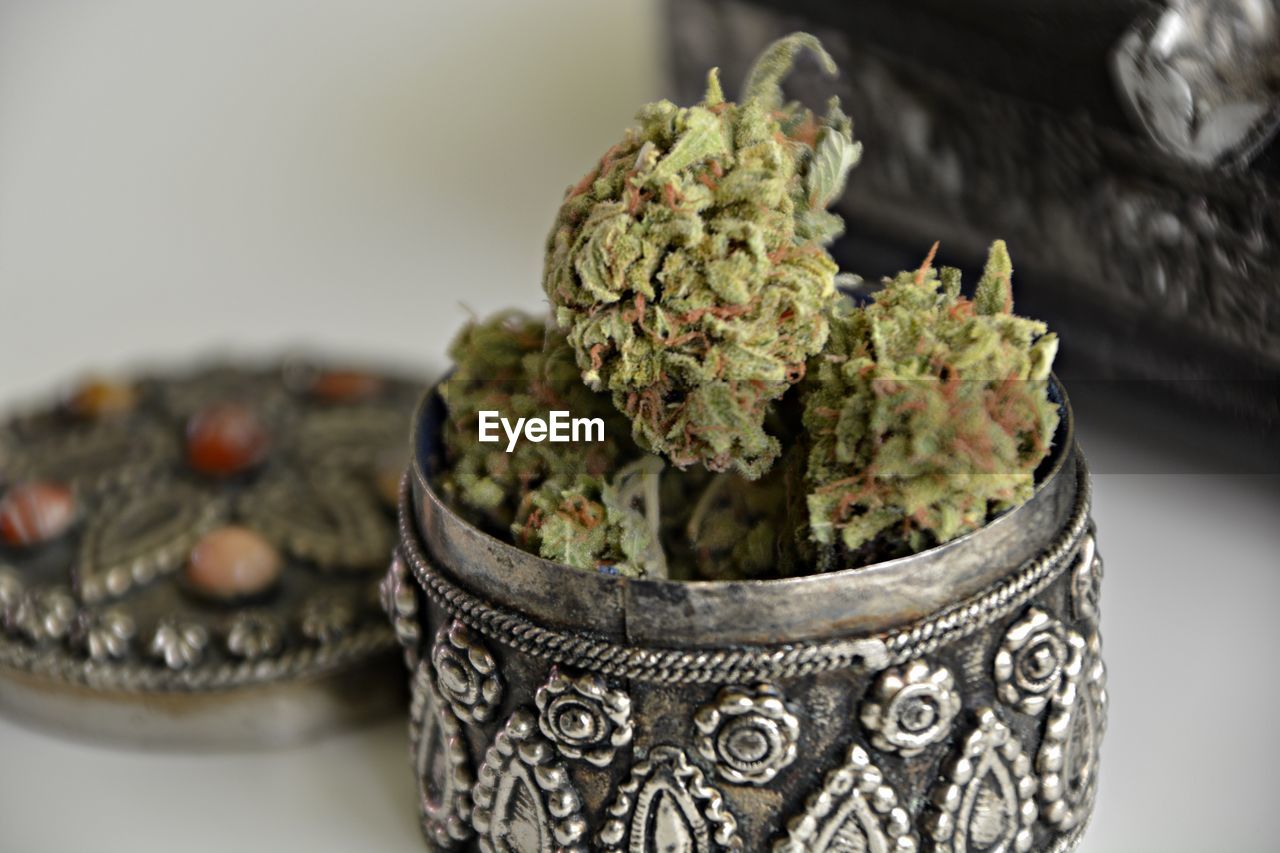 Close-up of cannabis in container on table