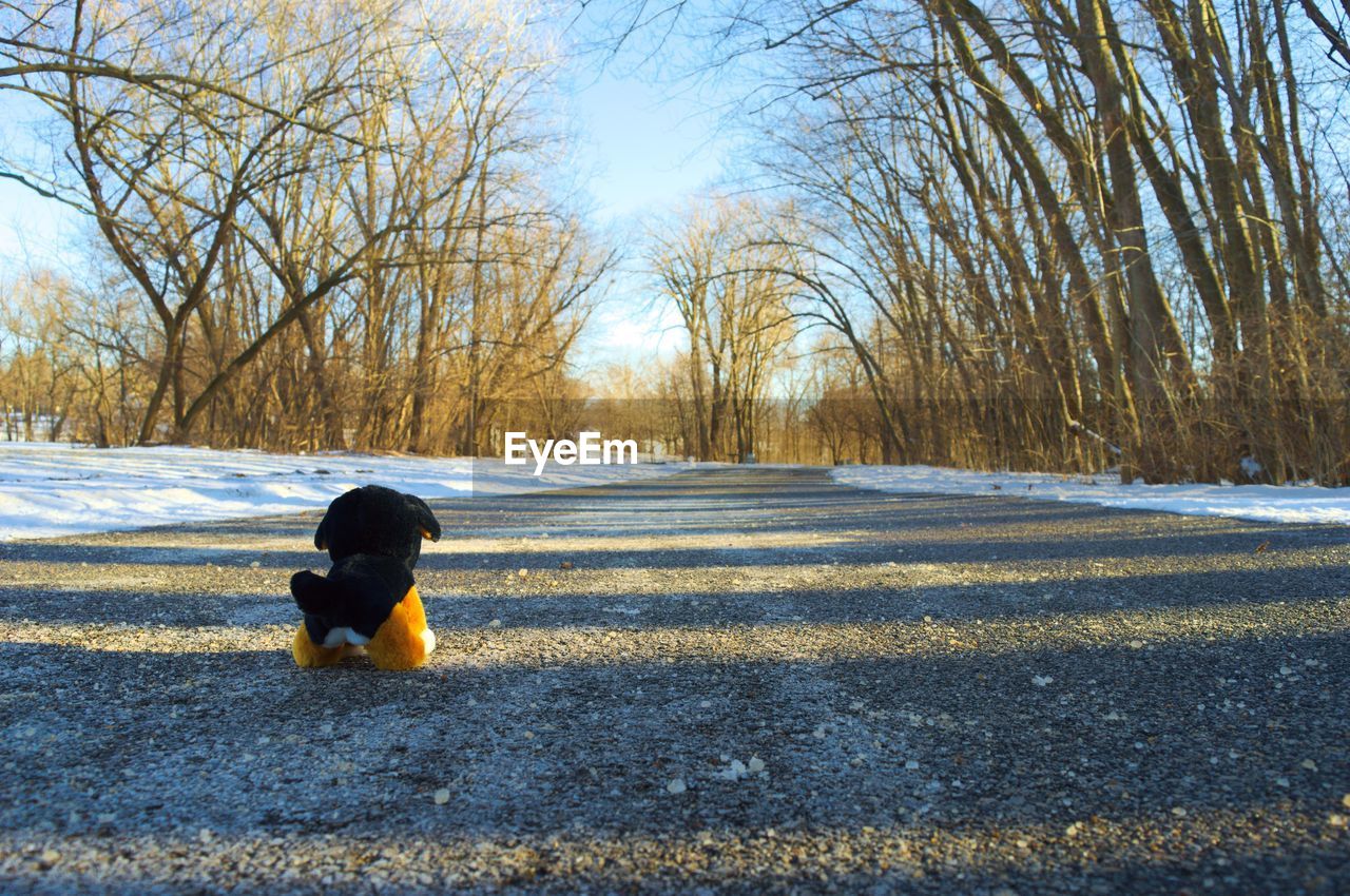 REAR VIEW OF GIRL WALKING ON ROAD IN WINTER