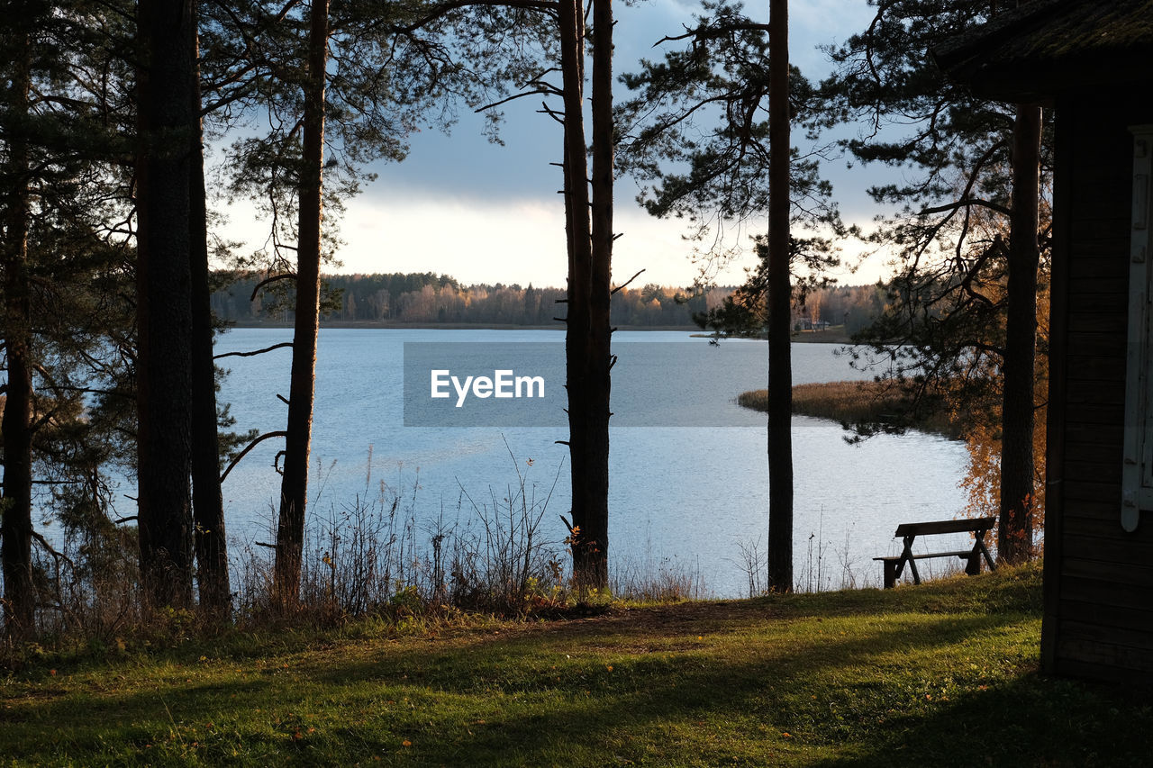 TREES AND LAKE AGAINST SKY