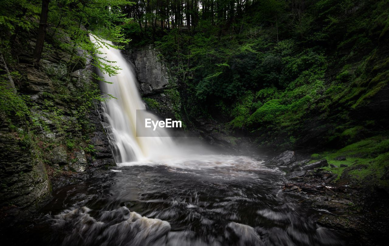 Scenic view of waterfall in forest