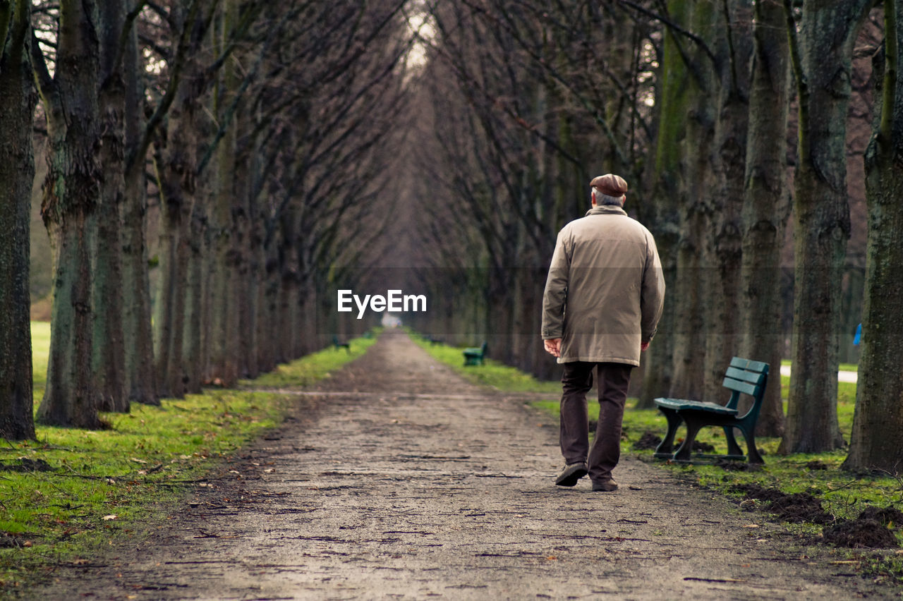 Rear view of man walking on footpath amidst trees