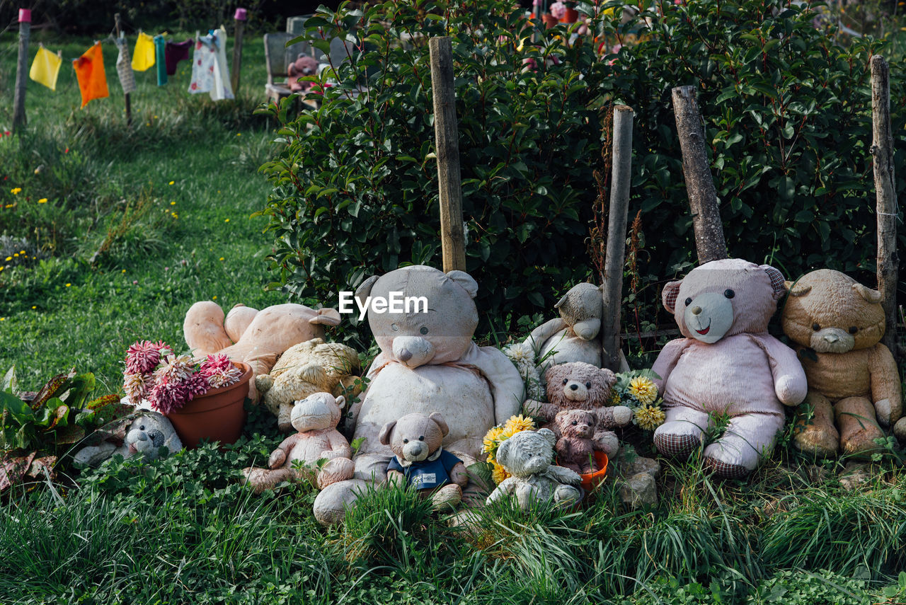 close-up of teddy bear on field