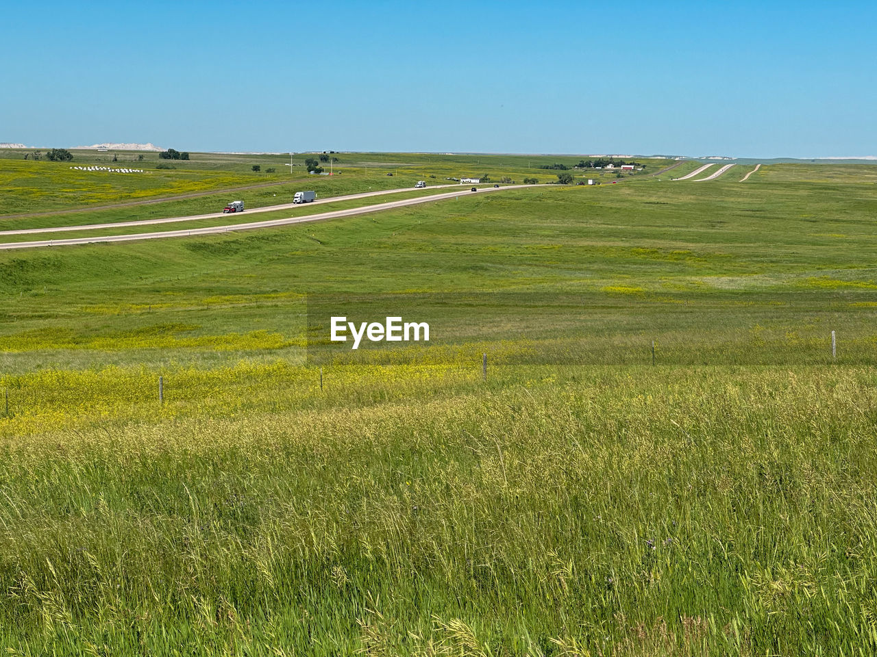grassland, plain, prairie, landscape, environment, land, pasture, plant, grass, steppe, field, green, natural environment, nature, scenics - nature, sky, horizon, beauty in nature, meadow, rural scene, tranquility, agriculture, tranquil scene, marsh, no people, day, non-urban scene, growth, hill, clear sky, outdoors, blue, rural area, farm, plateau, wetland, travel, sunlight, sunny, idyllic, rapeseed, travel destinations