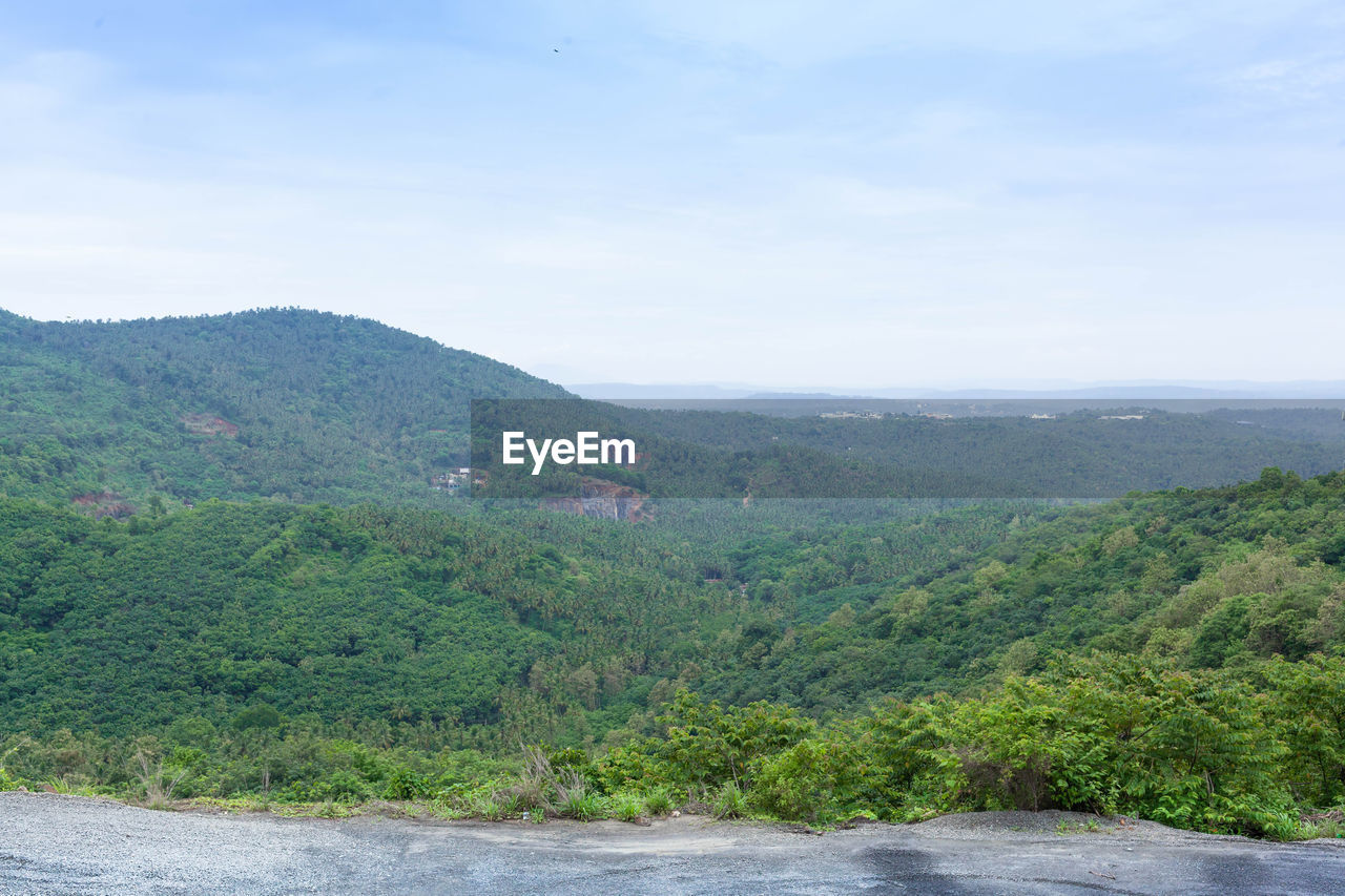 SCENIC VIEW OF RIVER AMIDST TREES AGAINST SKY