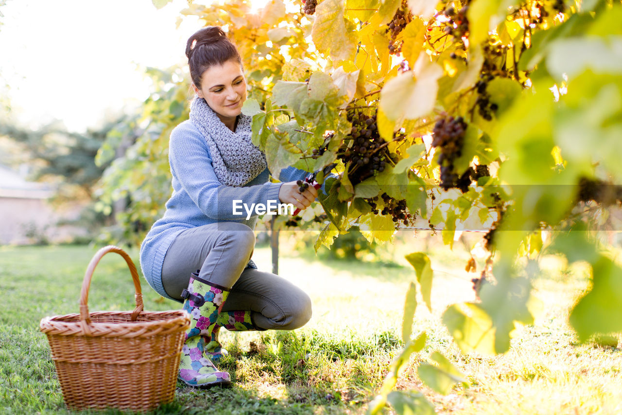 Full length view of woman in vineyard