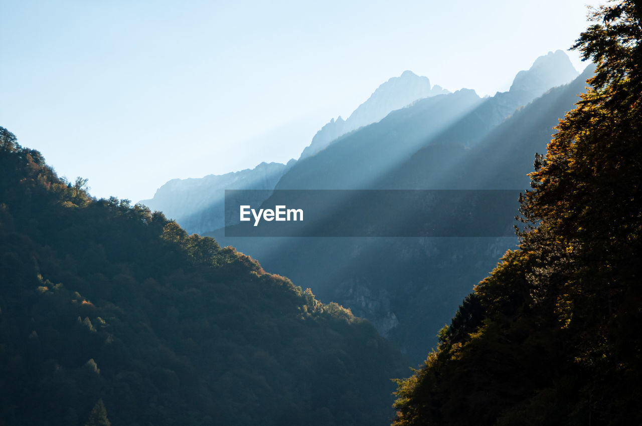 SCENIC VIEW OF TREES AND MOUNTAINS AGAINST SKY