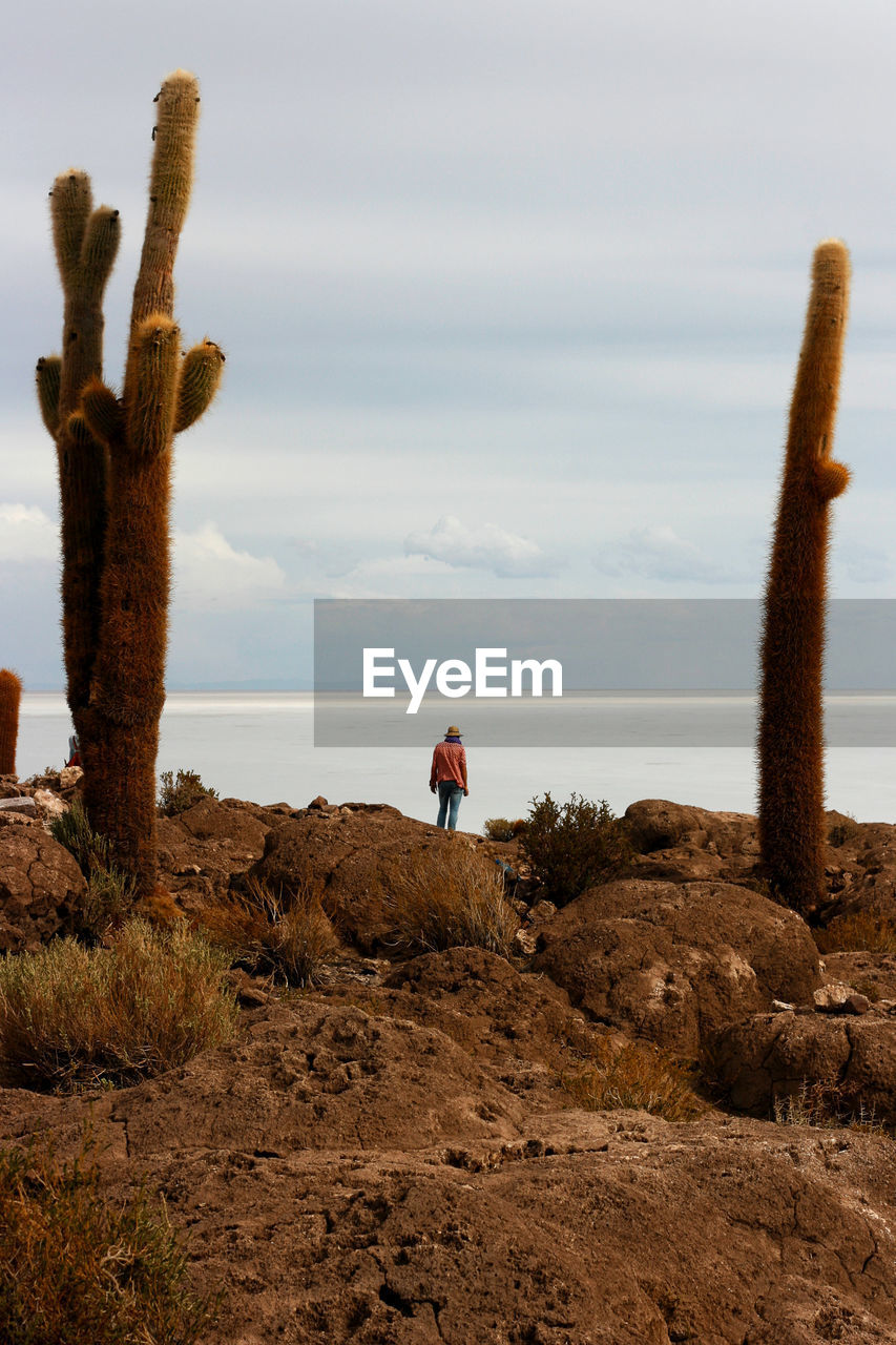 REAR VIEW OF WOMAN STANDING ON ROCK AGAINST SKY