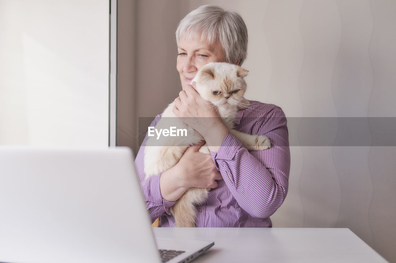 Home office. senior woman sitting at her laptop and holding a cute beige cat in her arms.