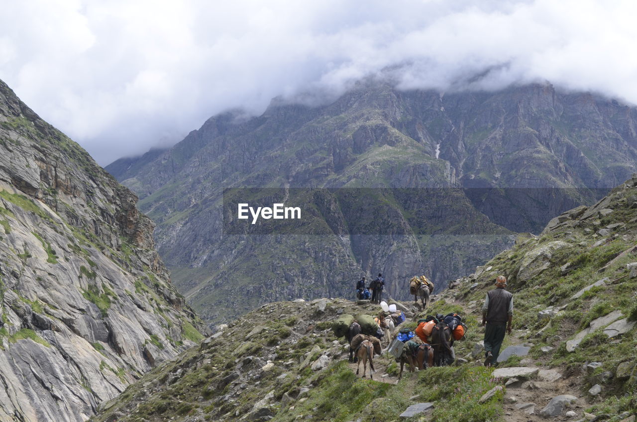 Rear view of people with donkeys on mountain against sky