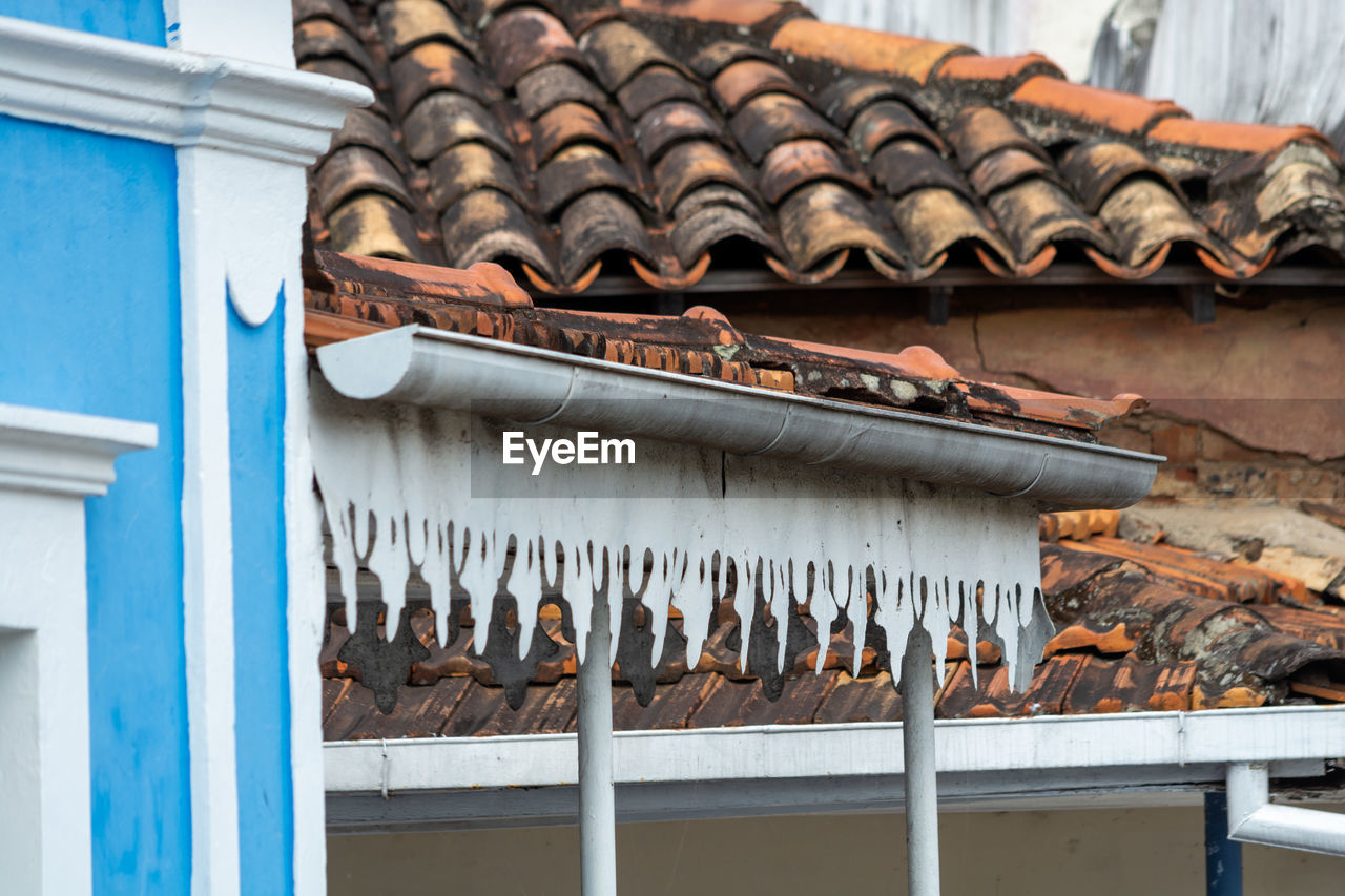 High angle view of fish on roof of building