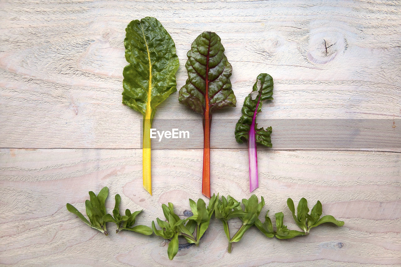 Close-up of vegetables