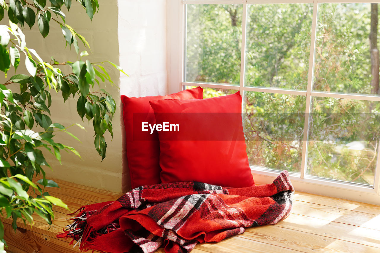 Interior of modern room wit cozy window sill, red pillows and green plant