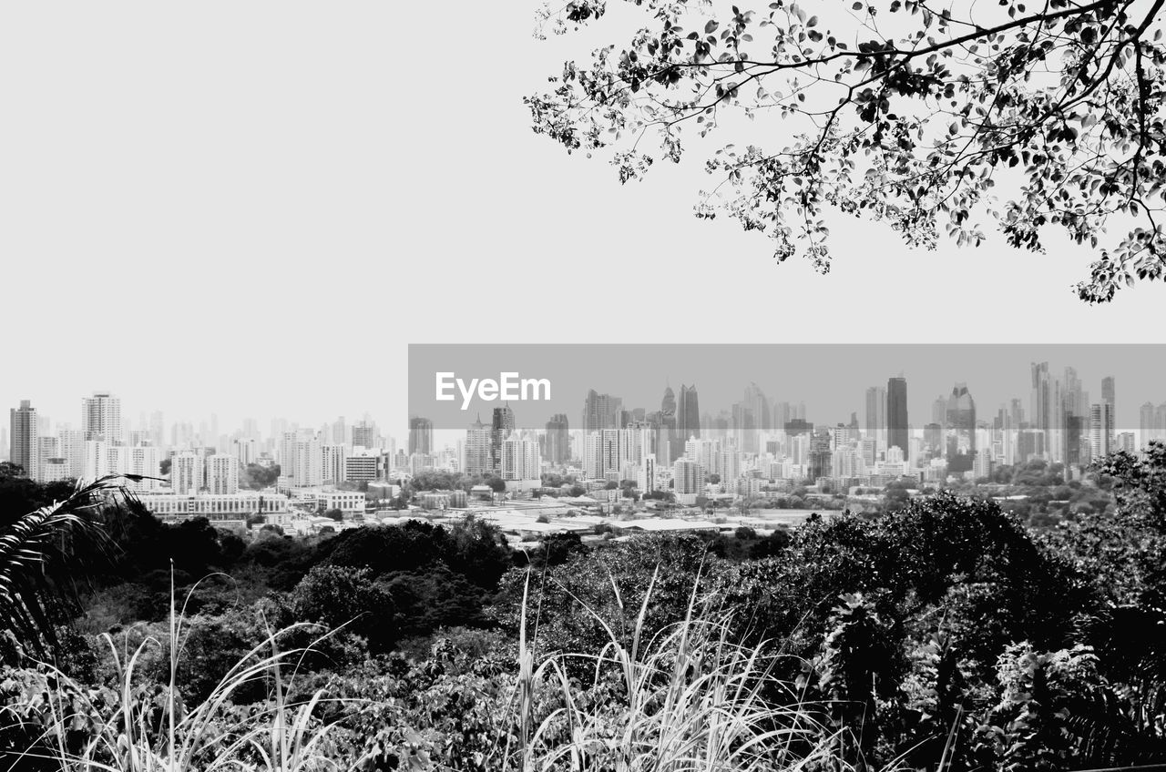 Buildings and trees in city against clear sky