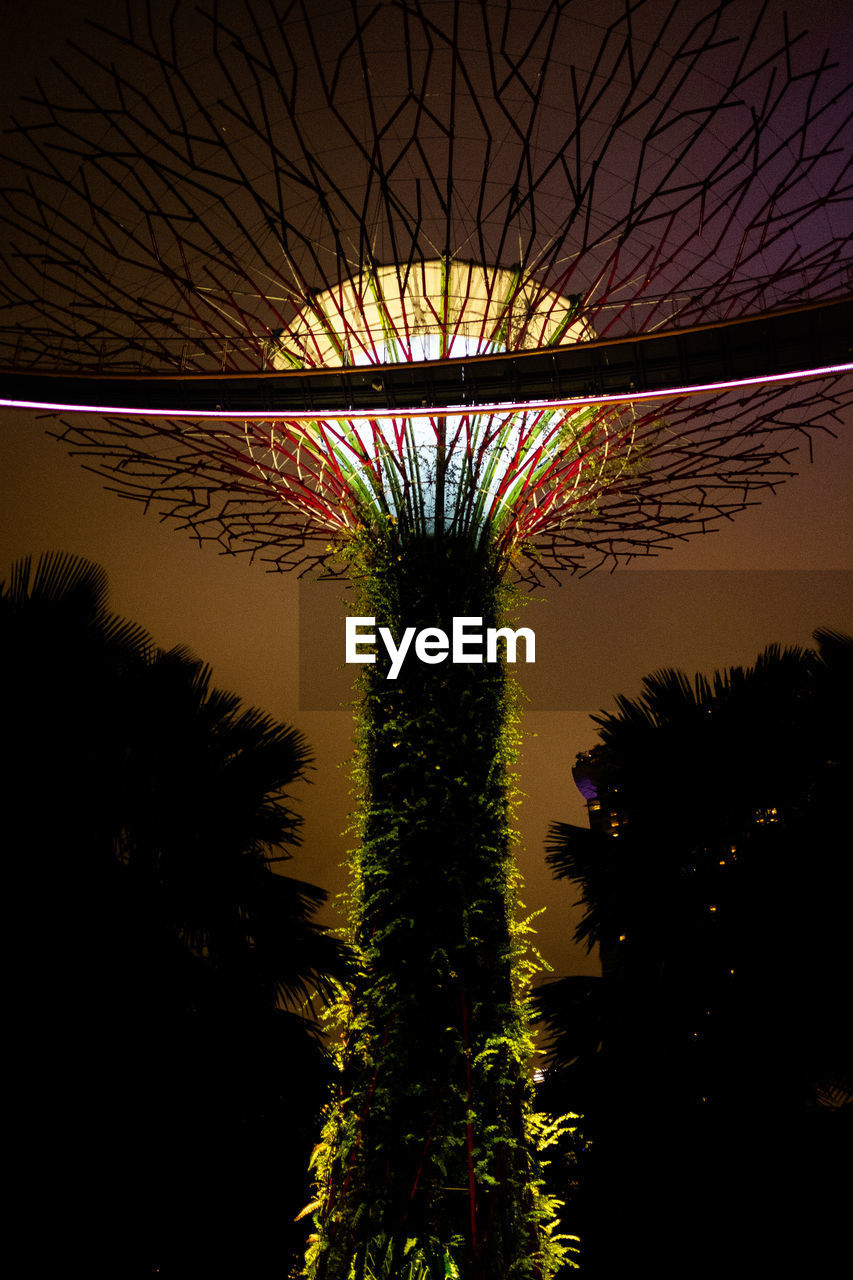 VIEW OF ILLUMINATED TREES AGAINST SKY AT NIGHT