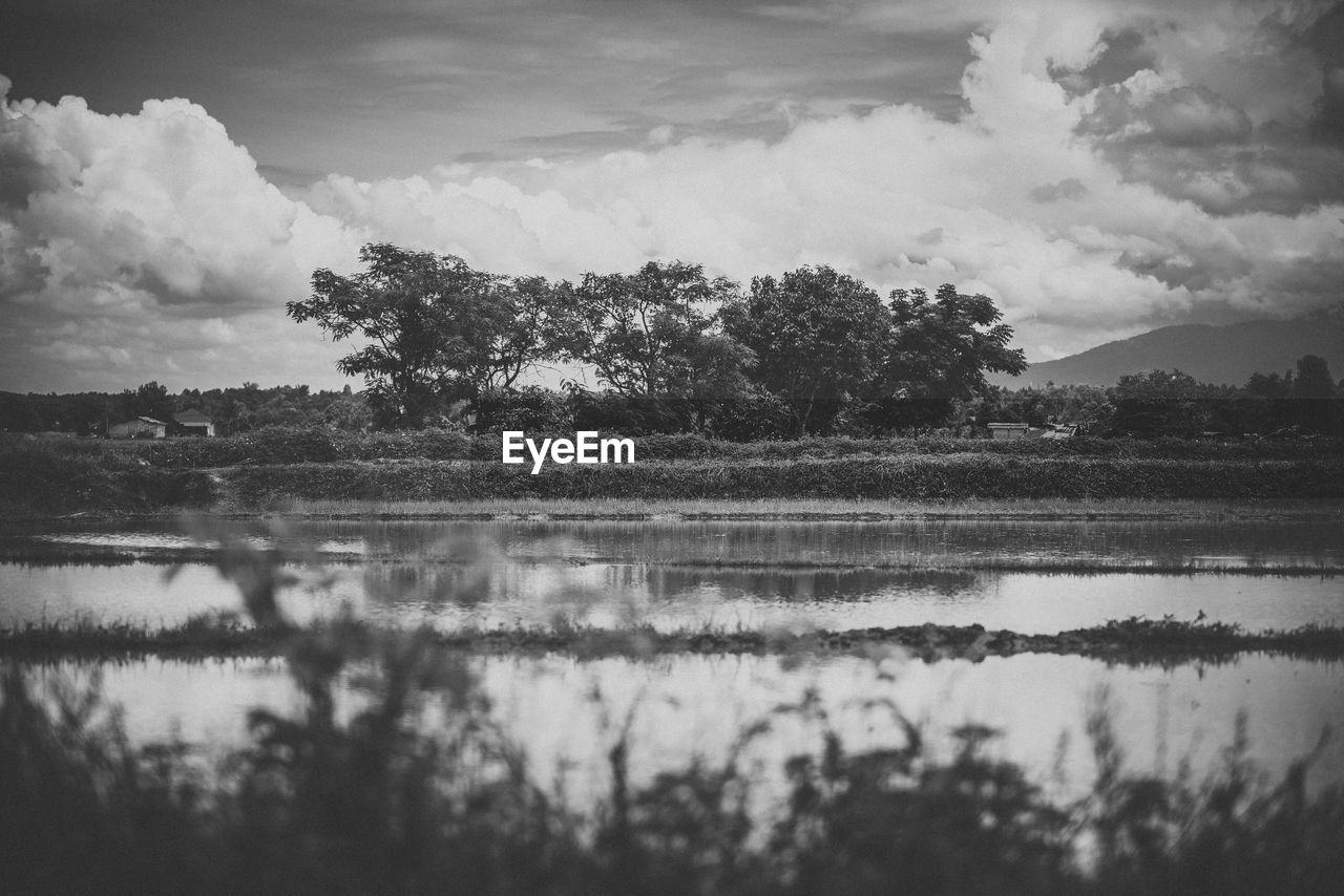 Reflection of trees in lake against sky