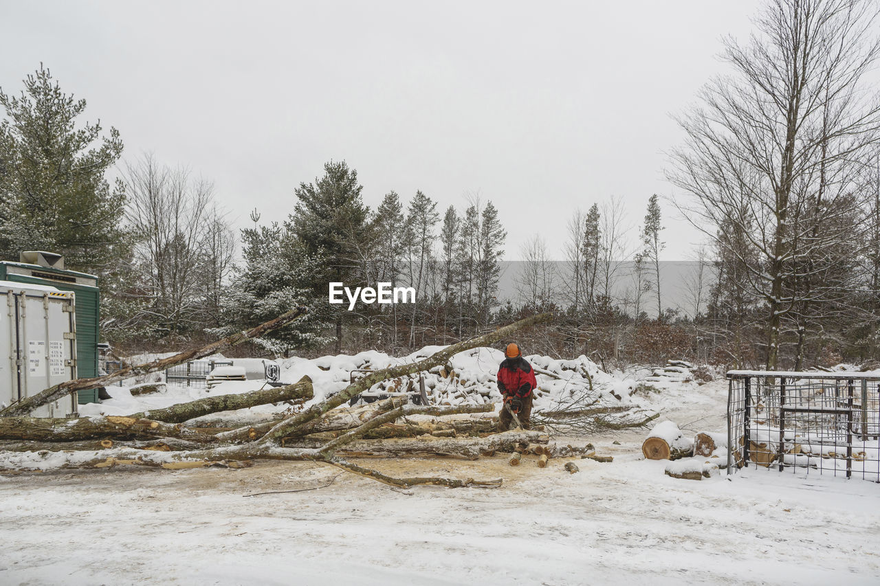 Lumberjack cutting logs against sky in forest during winter