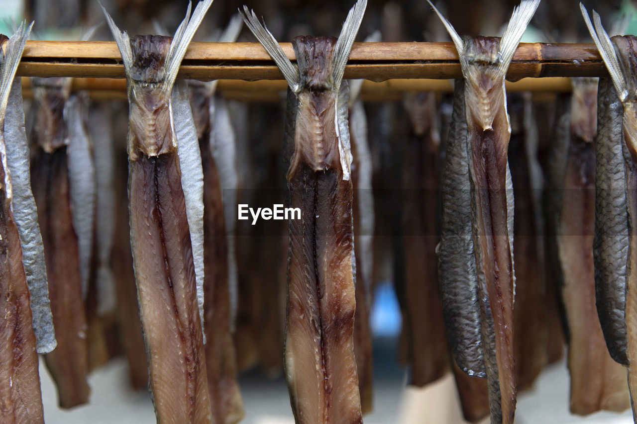 Close-up of drying fishes which are herrings and saury