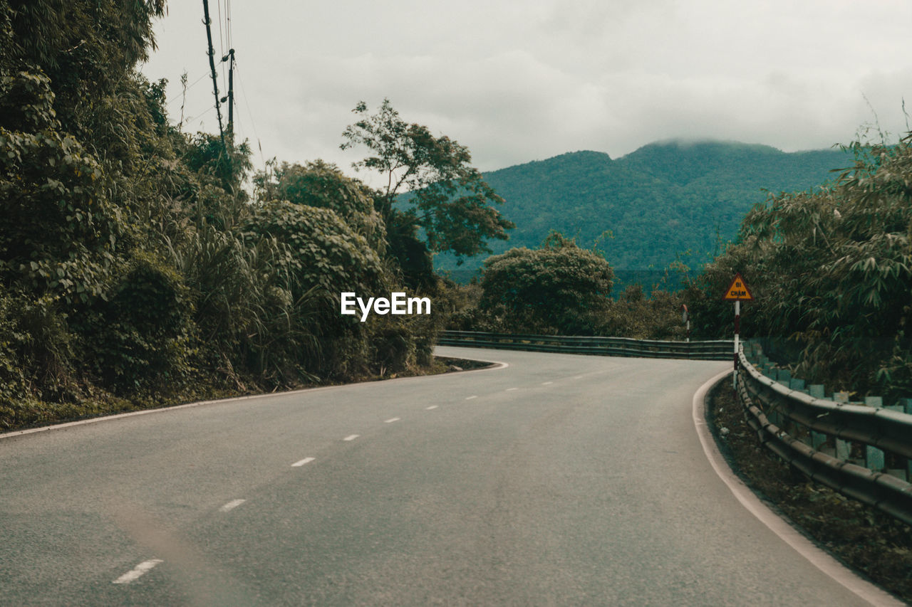 Road amidst trees