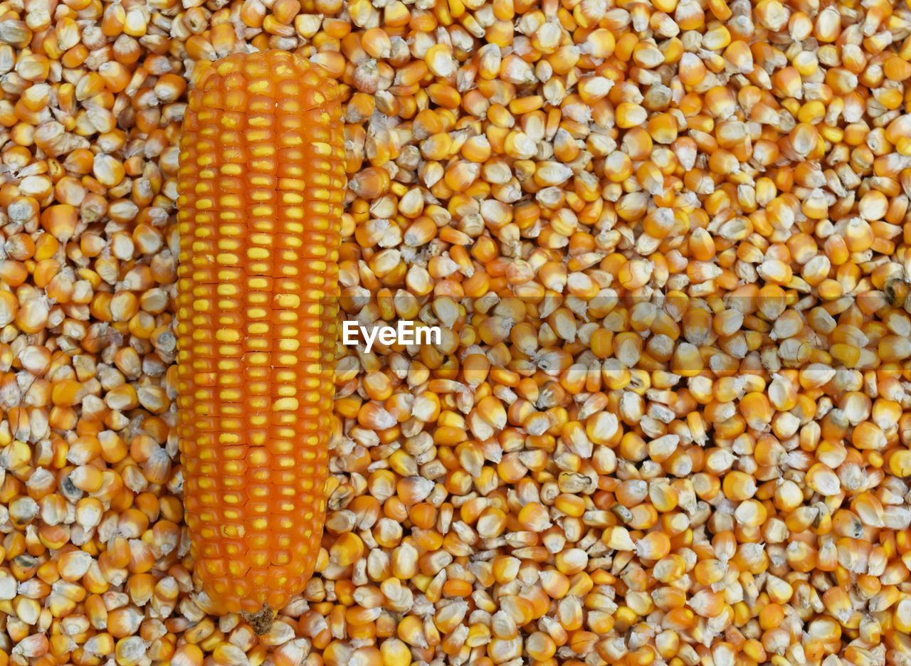 Full frame shot of corn and kernels