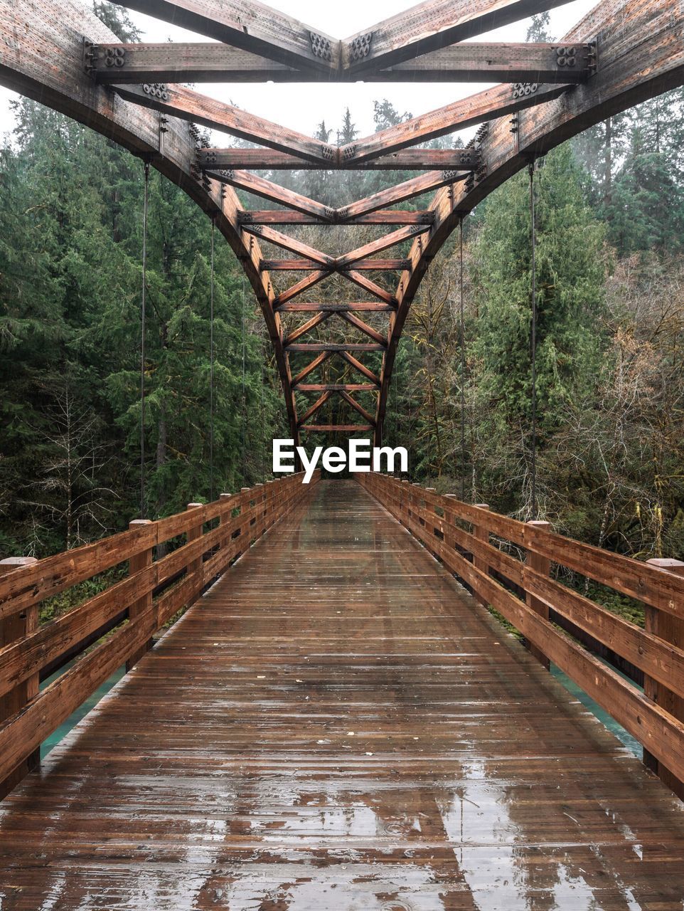 Wooden footbridge amidst trees in forest