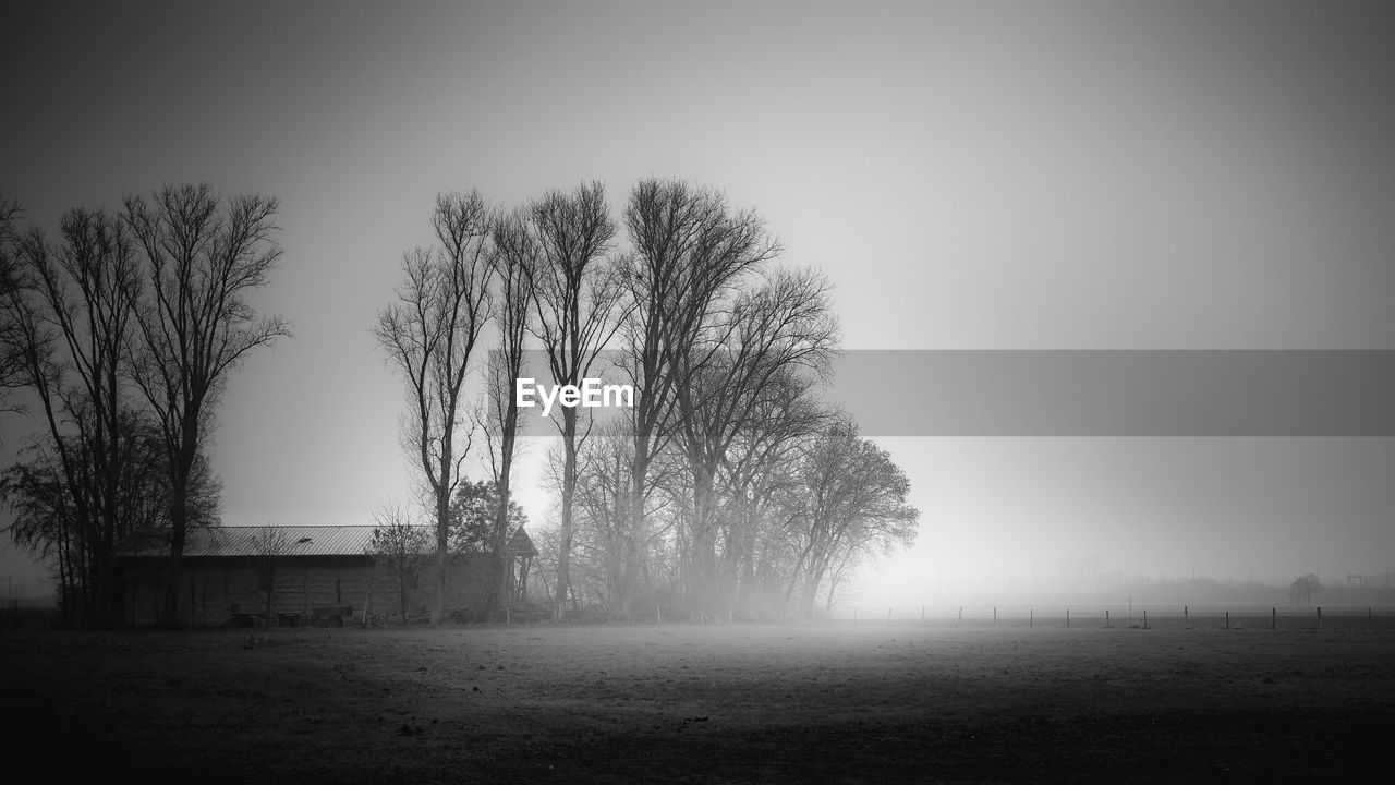 TREES ON FIELD AGAINST SKY