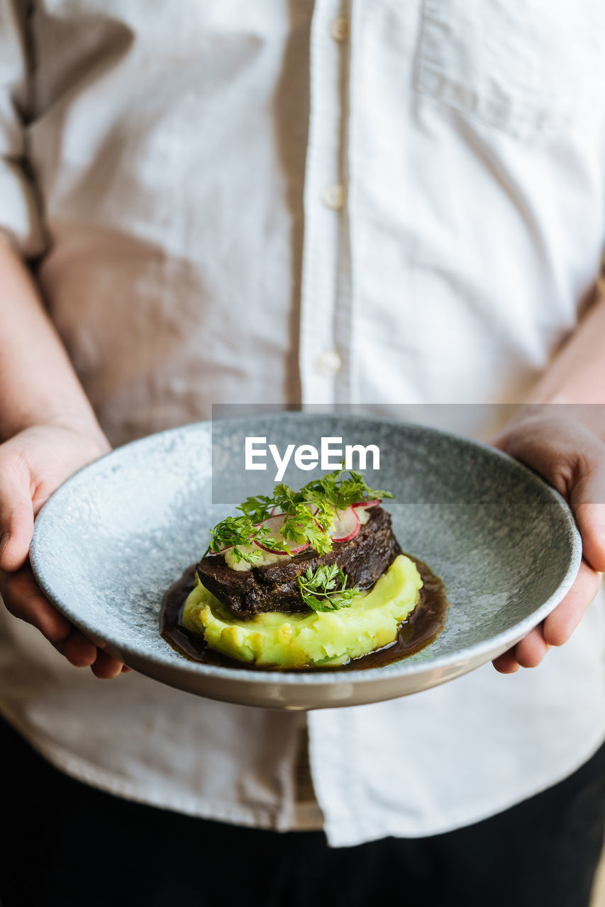 From above appetizing fried cutlet and vegetable puree with herbs in plate in hands of crop cook